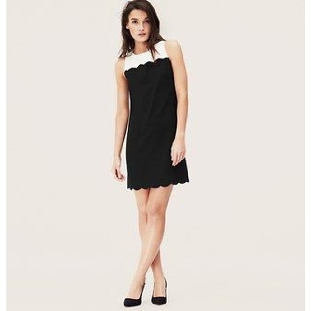 Ann Taylor LOFT Black Ivory Sleeveless Knit Sheath To Knee Sheath Dress Size 12